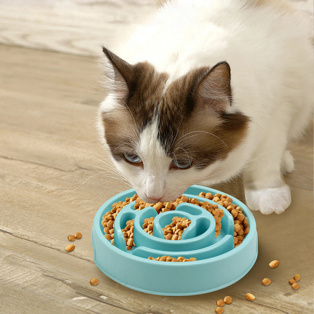 Slow Feeder Dog Bowl – Anti-Gulp Maze Design